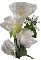 charmille _ fleurs - Gratis geanimeerde GIF