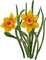 Y.A.M._Spring Flowers Décor - 無料png
