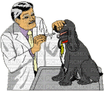 Veterinary clinic bp - Безплатен анимиран GIF