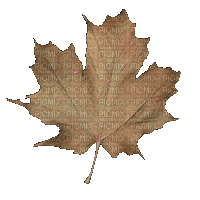 hojas otoño animadas  gif dubravka4 - GIF animado grátis