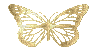 butterfly gif - Animovaný GIF zadarmo