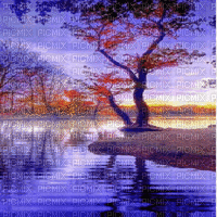 automne autumn purple bg animated - GIF เคลื่อนไหวฟรี