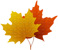 Kaz_Creations Autumn Fall Leaves Leafs - png gratuito