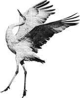 soave deco bird oriental crane black white - png gratis