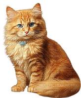 Gato amarillo - darmowe png