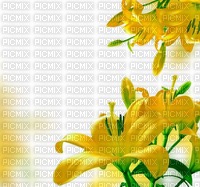 gala flowers - PNG gratuit