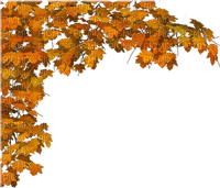automne feuilles - zadarmo png