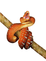 serpent - nemokama png