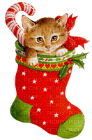 karácsonyi cica - png gratis