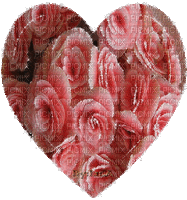 Serce róże - Free animated GIF