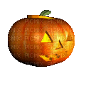 automne citrouille_pumpkin_ Halloween_gif_autumn_color orange___BlueDREAM 70