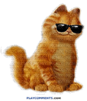 cats bp - Animovaný GIF zadarmo