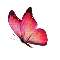 pink butterfly - 免费PNG
