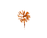 fet s34 orange - 無料のアニメーション GIF
