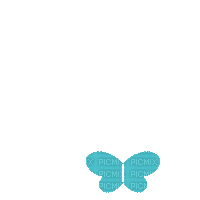 Papillon.Butterfly.turquoise.Victoriabea - Animovaný GIF zadarmo