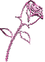 pink spinning rotating rose - GIF animate gratis