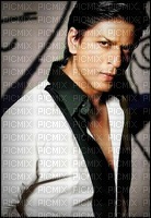 Shahrukh Khan Model - png grátis