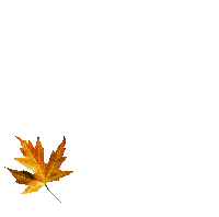 feuille automne - GIF animado gratis