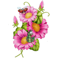 Summer Pink Flowers - 免费PNG