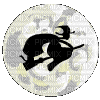 moon whitch gif Halloween sorciere lune - Free animated GIF