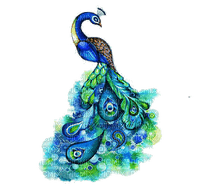 Peacock - фрее пнг