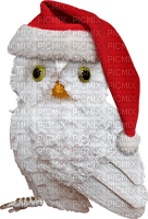 Kaz_Creations Birds Bird Owl Christmas - gratis png