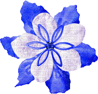 Christmas.Flower.White.Blue - KittyKatLuv65 - Animovaný GIF zadarmo