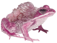 pink crystal froggy - png gratis