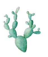 Prickly Pear Cactus Texas - Gratis animerad GIF