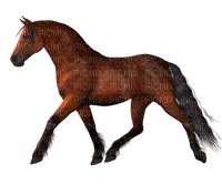 Tennessee Walker Horse - Free PNG
