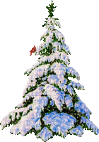 fir arbre tanne tree winter hiver snow neige - Zdarma animovaný GIF