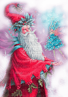 Y.A.M._New year Christmas Santa Claus fairy - png gratis