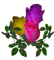 virág - Ilmainen animoitu GIF
