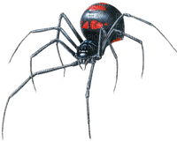 Spider - PNG gratuit