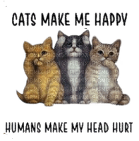 animalss cats nancysaey - 無料png