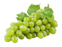 white grapes 6 - ilmainen png