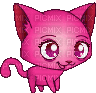 Kitten - GIF animasi gratis