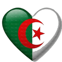 Drapeau Algérien - Free PNG