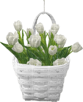 tulipanes - darmowe png
