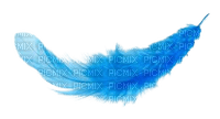 nlue feathers - gratis png