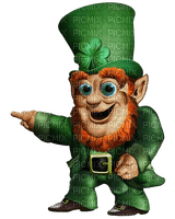 Elfe St-Patrick:) - gratis png