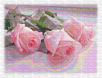 image encre animé effet fleurs roses mariage edited by me - Gratis geanimeerde GIF