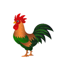 ROOSTER - GIF animate gratis