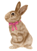 Kaz_Creations Animals Rabbit Hare - PNG gratuit