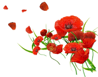 Blue DREAM  70 _ flowers_poppies - png gratuito