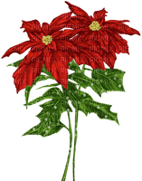 Flores pastoras de navidad - kostenlos png