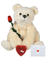 Kaz_Creations Heart Hearts Love Valentine Valentines Teddy - Free PNG