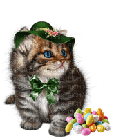cat st.Patrick by nataliplus - Free PNG