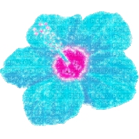 Animated.Flower.Blue.Pink - By KittyKatLuv65 - GIF animé gratuit