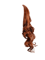 cheveux 01 - Free PNG